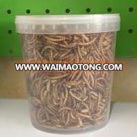 Wholesale Dried Mealworms for Wild Bird