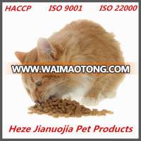 dry cat food high protein with healthy skin and shiny hair function functional cat food