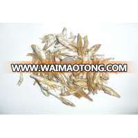 High quality and best price types of dried fish cat food